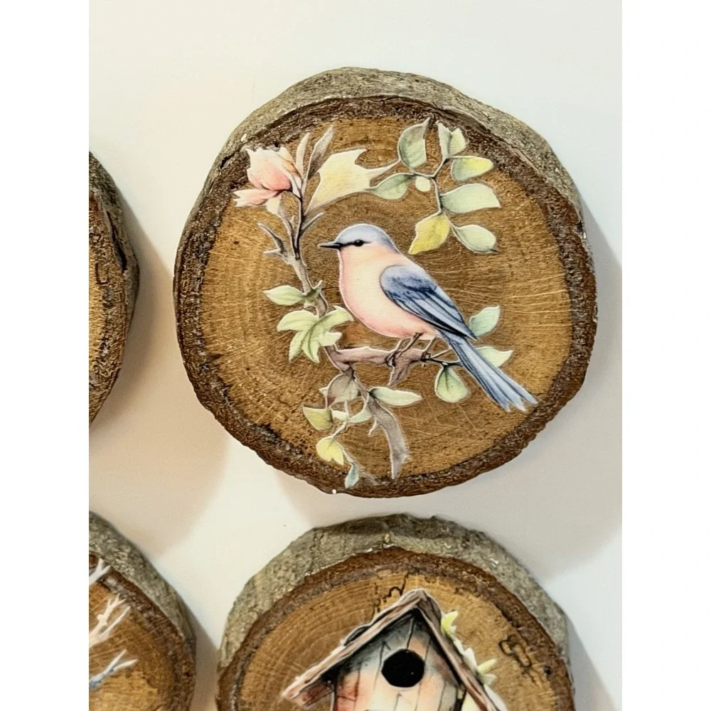 Set Of 4 Natural Oak Wood Bark Bird Magnets